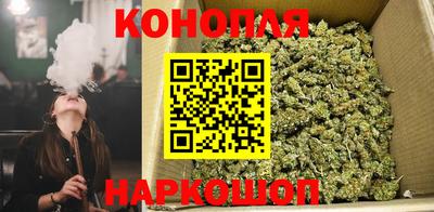 дмт Новозыбков